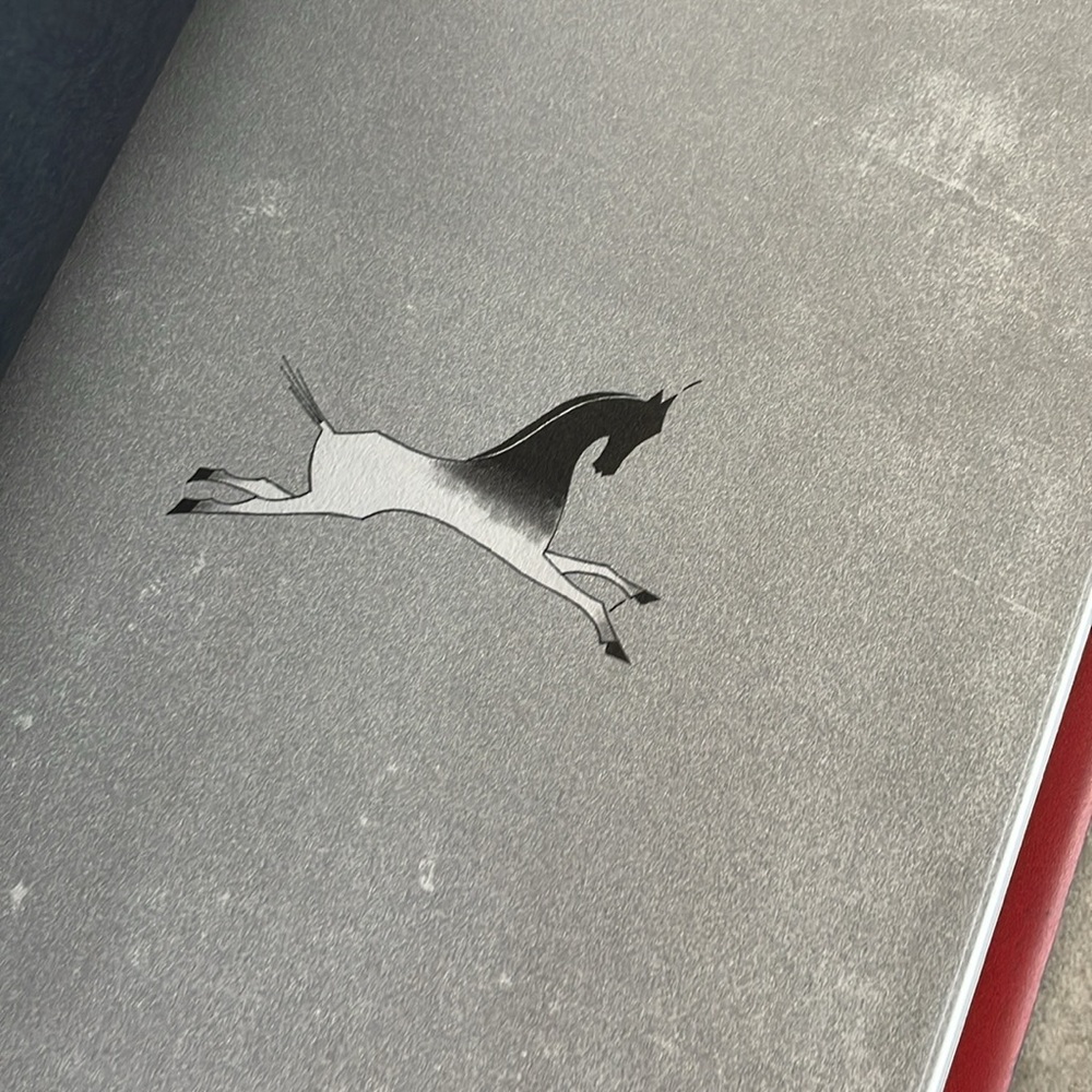 In the Footsteps of Crazy Horse Joseph Marshall III + Jim Yellowhawk Lakota YA - Picture 6 of 8